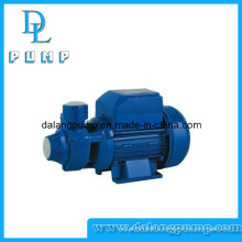 Peripheral Pump, Vortex Pump, Garden Pump, Surface Pump, Domestic Pumps